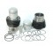 1101 Kit pistoni-cilindri 425