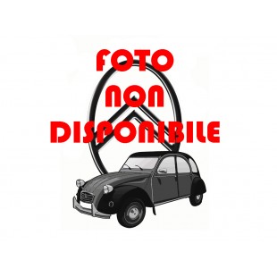 956 2 viti pompa benzina