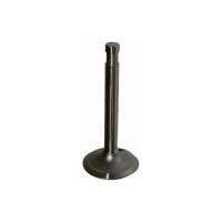 077 Valvola d'aspirazione motore 435 (39x8x89,7mm)