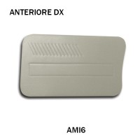 4850 Pannello porta anteriore destra AMI6 GRIGIO