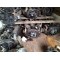 Motore completo VISA 650cc