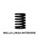 068 Molla anteriore interna mollettone