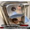 1235 Plastica faro posteriore Sinistro 2CV concorrenza